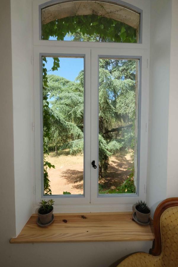 Villa Des Antiquaires Bédarieux Exteriér fotografie